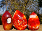 Polished Carnelian Agate Gemstone Flames x 3 From Madagascar - Toprock Gemstones and Minerals 