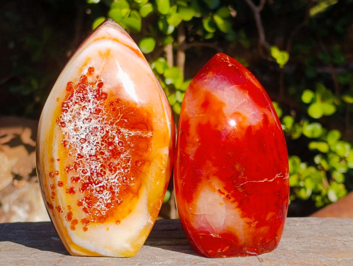 Polished Carnelian Agate Gemstone Flames x 3 From Madagascar - Toprock Gemstones and Minerals 