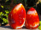 Polished Carnelian Agate Gemstone Flames x 3 From Madagascar - Toprock Gemstones and Minerals 