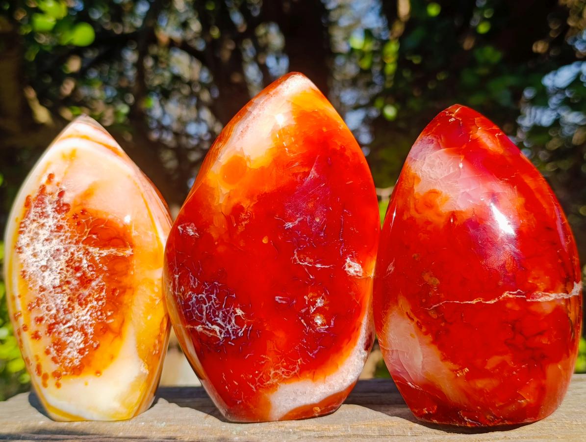 Polished Carnelian Agate Gemstone Flames x 3 From Madagascar - Toprock Gemstones and Minerals 