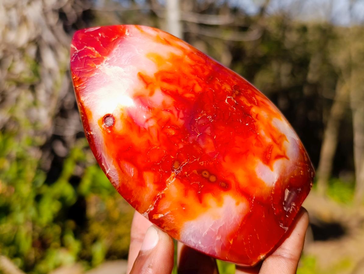 Polished Carnelian Agate Gemstone Flames x 3 From Madagascar - Toprock Gemstones and Minerals 