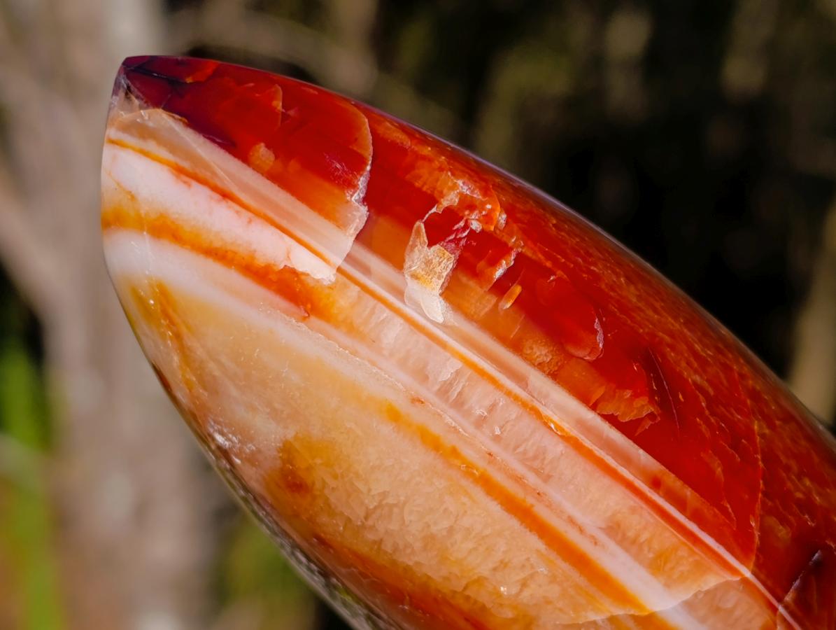 Polished Carnelian Agate Gemstone Flames x 3 From Madagascar - Toprock Gemstones and Minerals 
