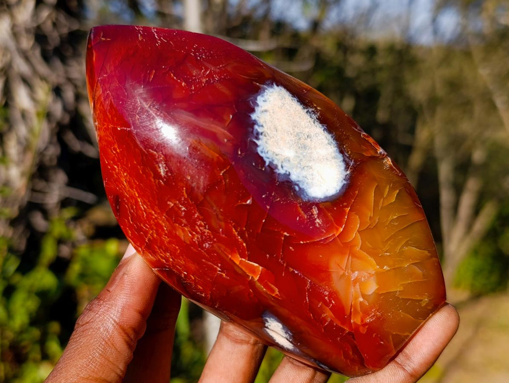Polished Carnelian Agate Gemstone Flames x 3 From Madagascar - Toprock Gemstones and Minerals 