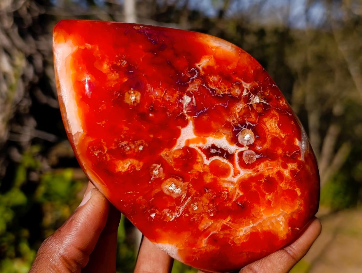 Polished Carnelian Agate Gemstone Flames x 3 From Madagascar - Toprock Gemstones and Minerals 