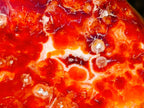 Polished Carnelian Agate Gemstone Flames x 3 From Madagascar - Toprock Gemstones and Minerals 