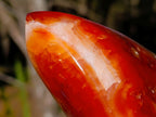 Polished Carnelian Agate Gemstone Flames x 3 From Madagascar - Toprock Gemstones and Minerals 