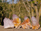 Natural Spirit Amethyst Crystals x 20 From Boekenhouthoek, South Africa - Toprock Gemstones and Minerals 