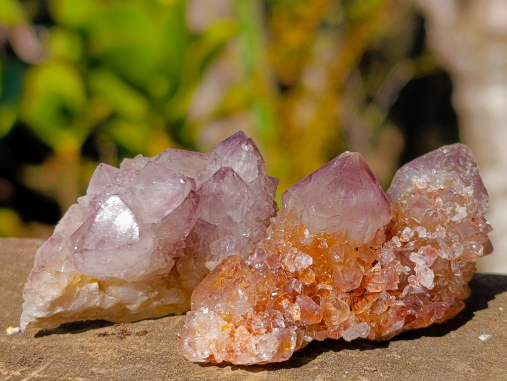 Natural Spirit Amethyst Crystals x 20 From Boekenhouthoek, South Africa - Toprock Gemstones and Minerals 