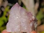 Natural Spirit Amethyst Crystals x 20 From Boekenhouthoek, South Africa - Toprock Gemstones and Minerals 