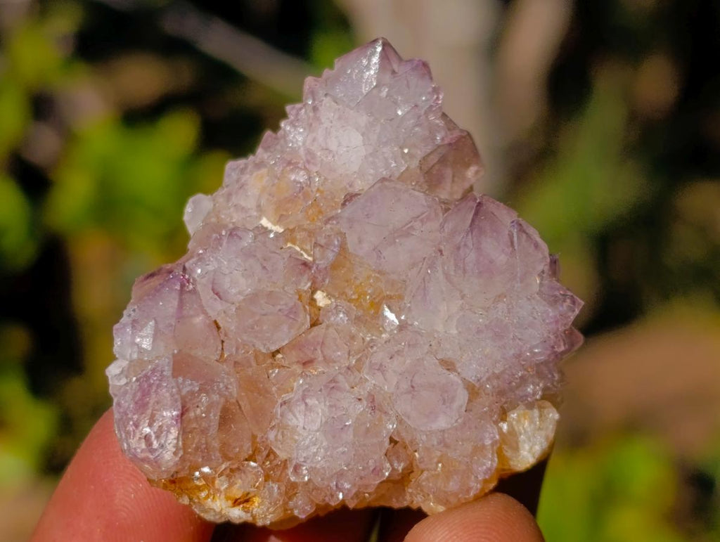 Natural Spirit Amethyst Crystals x 20 From Boekenhouthoek, South Africa - Toprock Gemstones and Minerals 