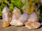 Natural Spirit Amethyst Crystals x 20 From Boekenhouthoek, South Africa - Toprock Gemstones and Minerals 
