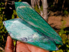 Polished Buddstone Double Terminated Crystals x 6 From Swaziland - Toprock Gemstones and Minerals 