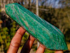 Polished Buddstone Double Terminated Crystals x 6 From Swaziland - Toprock Gemstones and Minerals 