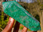 Polished Buddstone Double Terminated Crystals x 6 From Swaziland - Toprock Gemstones and Minerals 