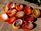 Polished Carnelian Agate Gemstone Bowls x 12 From Madagascar - Toprock Gemstones and Minerals 