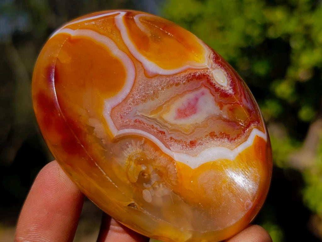 Polished Carnelian Agate Gemstone Bowls x 12 From Madagascar - Toprock Gemstones and Minerals 