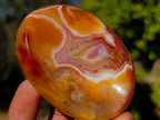 Polished Carnelian Agate Gemstone Bowls x 12 From Madagascar - Toprock Gemstones and Minerals 