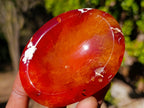 Polished Carnelian Agate Gemstone Bowls x 12 From Madagascar - Toprock Gemstones and Minerals 