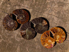 Polished Cleoniceras Ammonite Fossils Pairs x 26 From Tulear, Madagascar - Toprock Gemstones and Minerals 