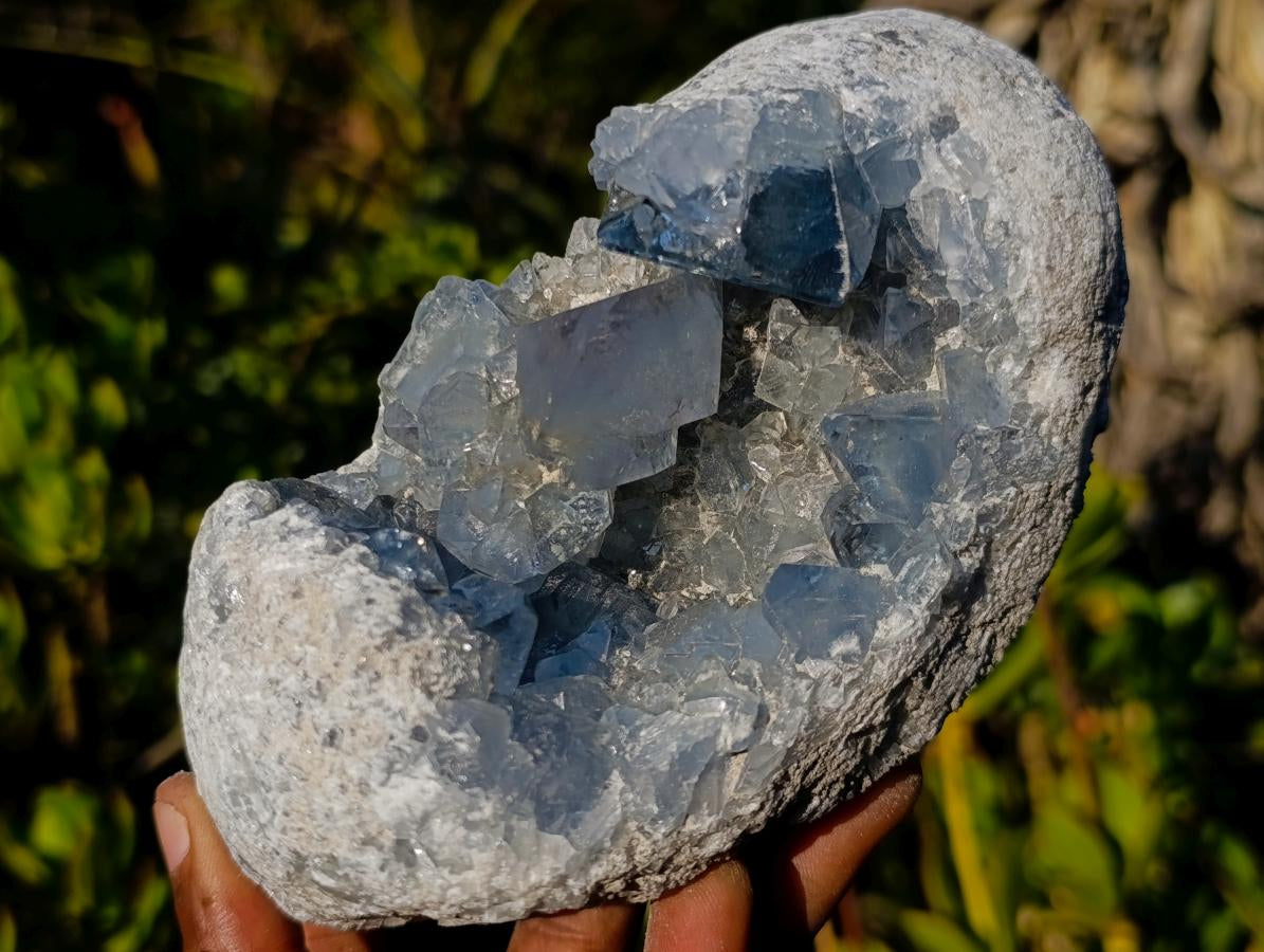Natural Blue Celestite Specimens x 2 From Sakoany, Madagascar - Toprock Gemstones and Minerals 