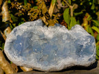 Natural Blue Celestite Specimens x 2 From Sakoany, Madagascar - Toprock Gemstones and Minerals 