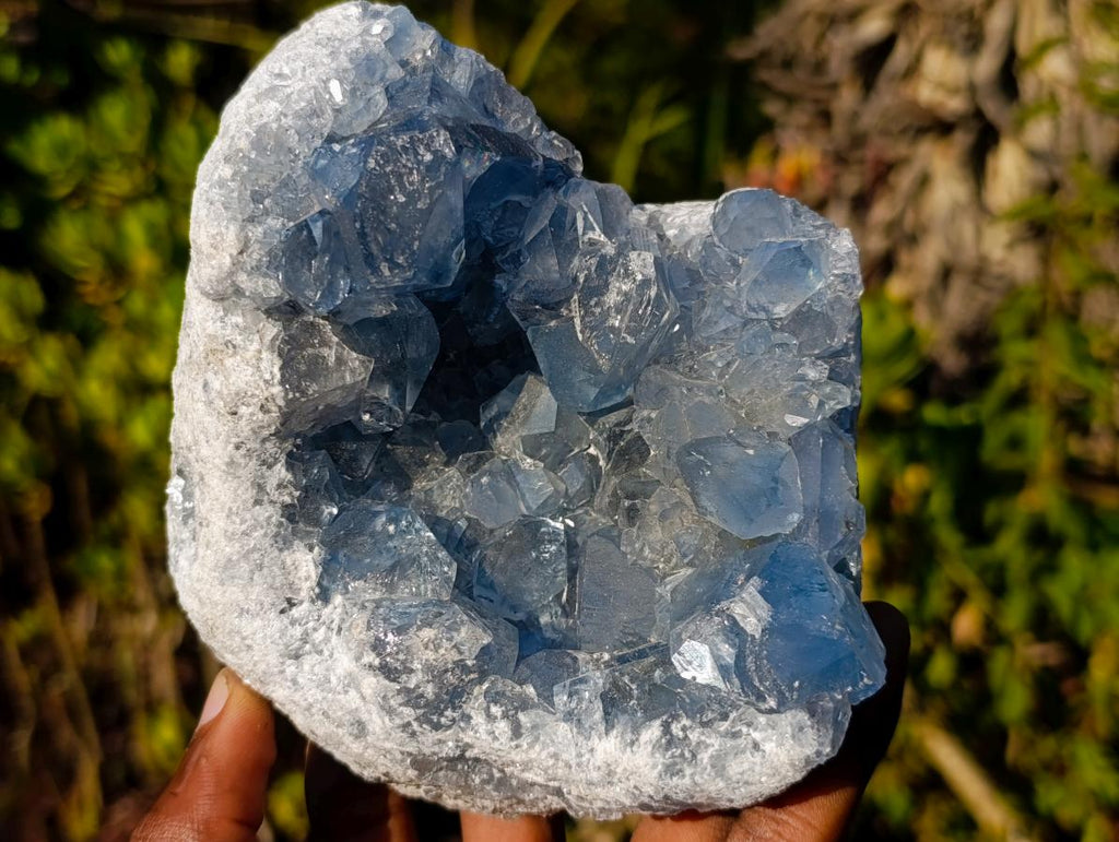 Natural Blue Celestite Specimens x 2 From Sakoany, Madagascar - Toprock Gemstones and Minerals 