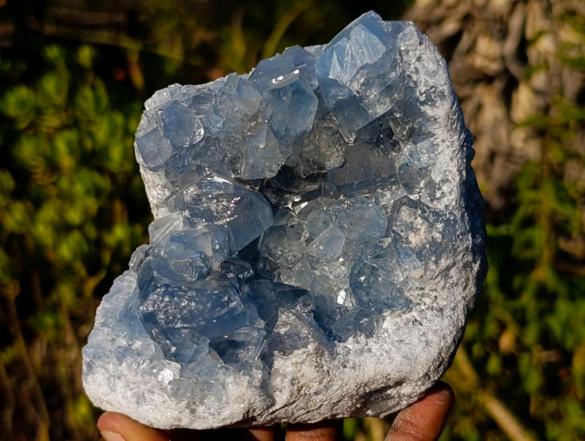 Natural Blue Celestite Specimens x 2 From Sakoany, Madagascar - Toprock Gemstones and Minerals 