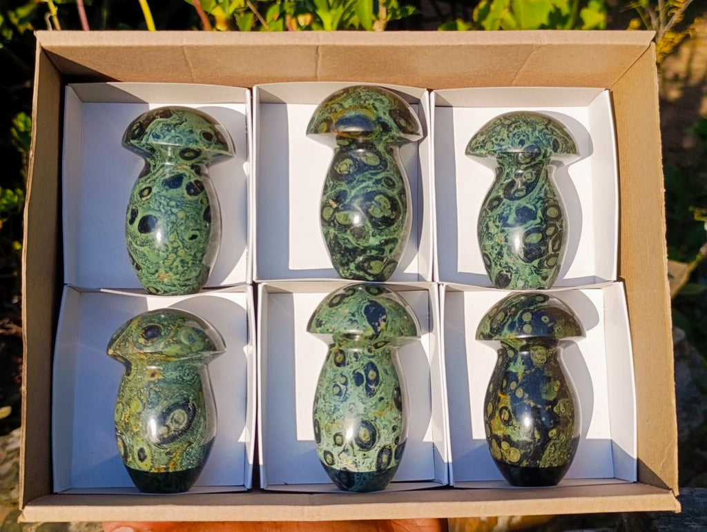 Polished Stromatolite "Kambaba Jasper" Mushrooms x 6 From Katsepy, Madagascar - Toprock Gemstones and Minerals 
