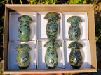 Polished Stromatolite "Kambaba Jasper" Mushrooms x 6 From Katsepy, Madagascar - Toprock Gemstones and Minerals 