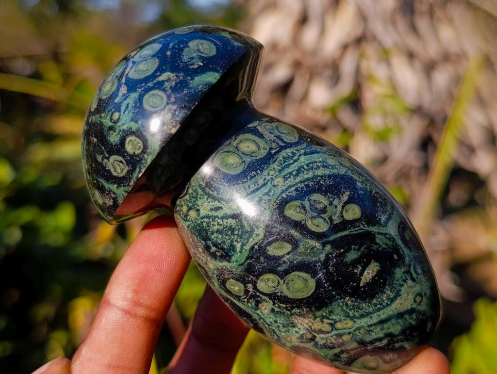 Polished Stromatolite "Kambaba Jasper" Mushrooms x 6 From Katsepy, Madagascar - Toprock Gemstones and Minerals 