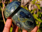 Polished Stromatolite "Kambaba Jasper" Mushrooms x 6 From Katsepy, Madagascar - Toprock Gemstones and Minerals 