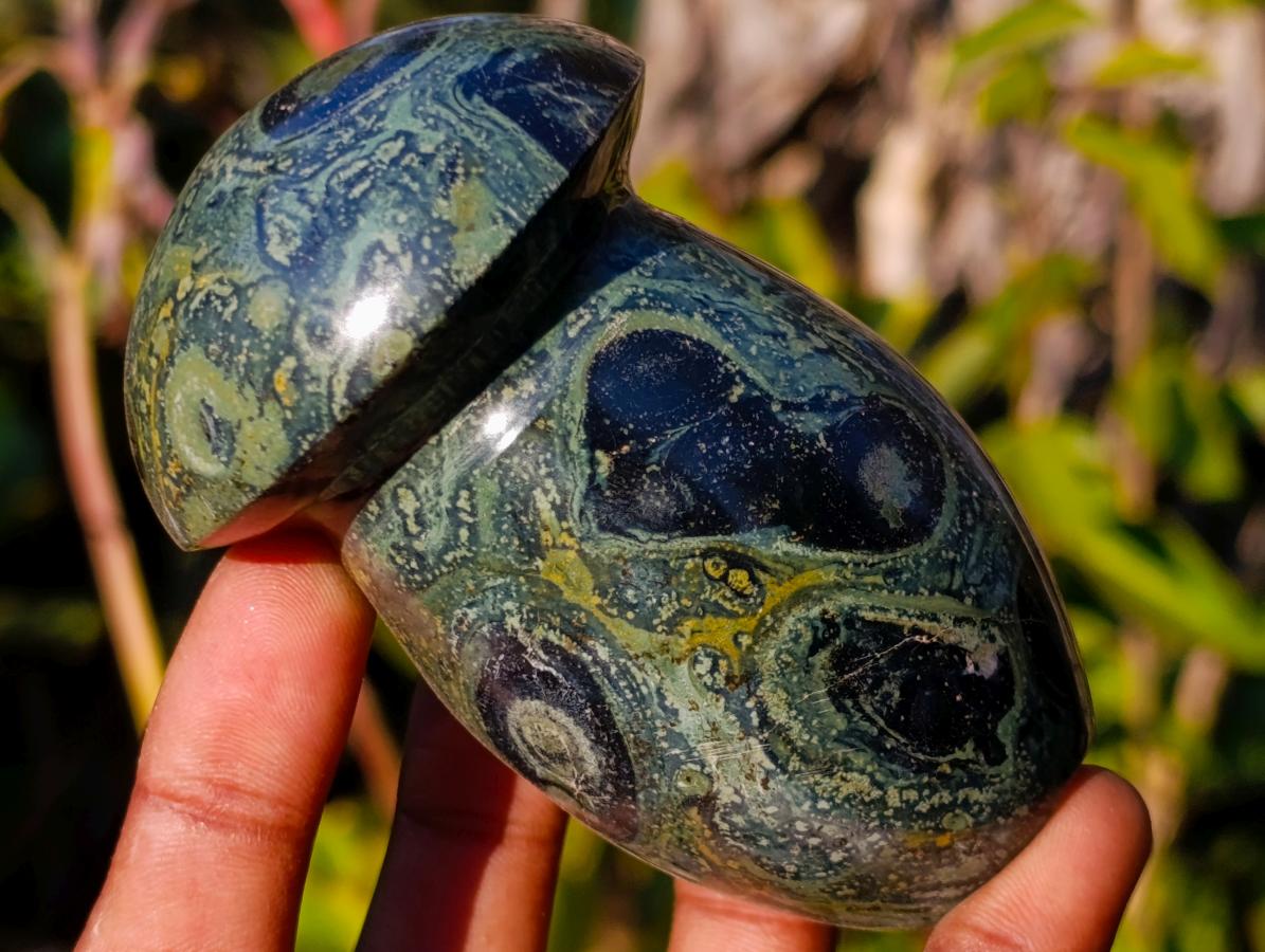 Polished Stromatolite "Kambaba Jasper" Mushrooms x 6 From Katsepy, Madagascar - Toprock Gemstones and Minerals 