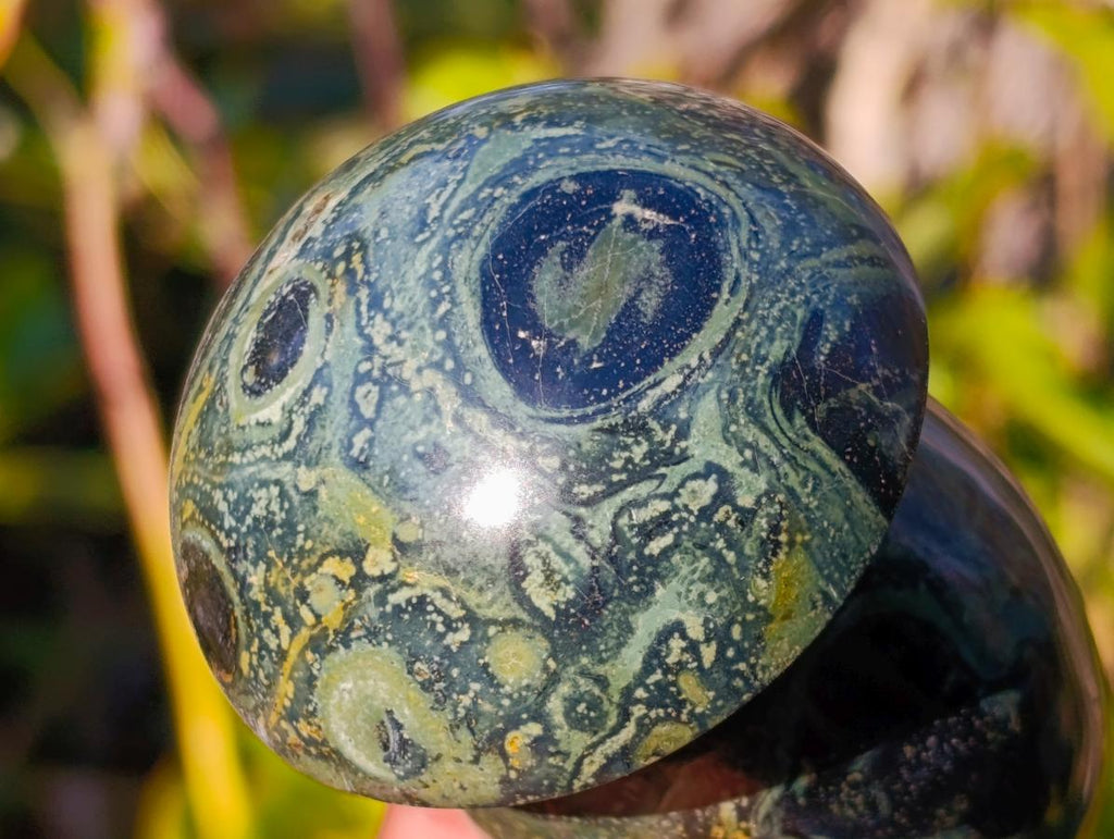 Polished Stromatolite "Kambaba Jasper" Mushrooms x 6 From Katsepy, Madagascar - Toprock Gemstones and Minerals 