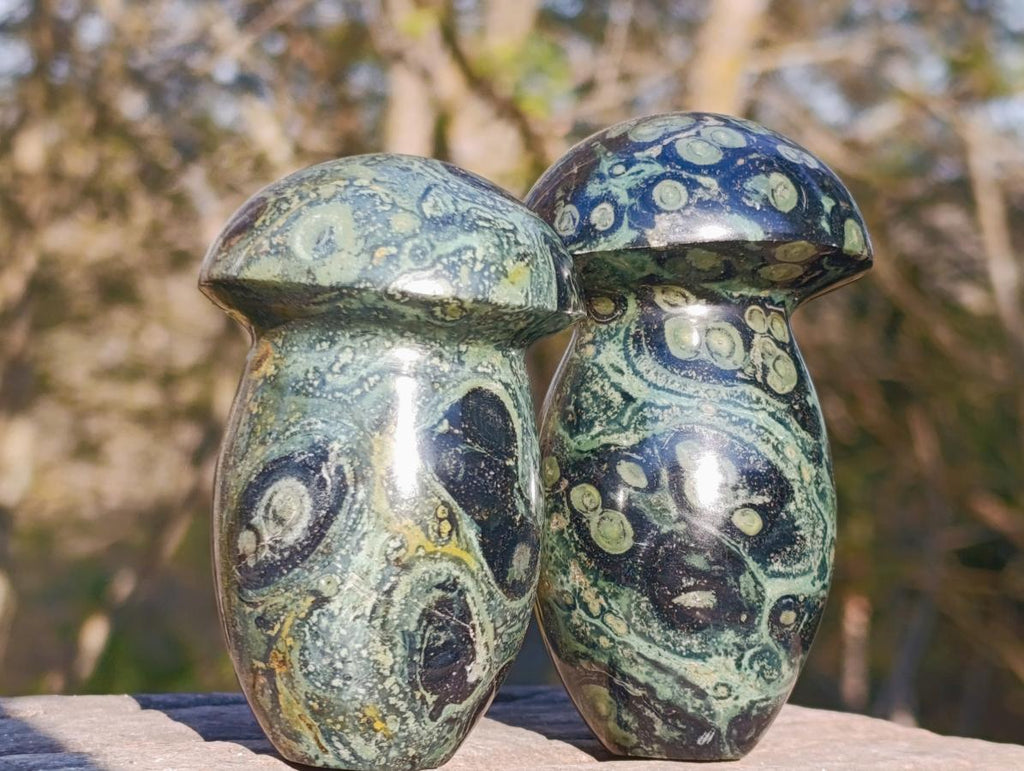 Polished Stromatolite "Kambaba Jasper" Mushrooms x 6 From Katsepy, Madagascar - Toprock Gemstones and Minerals 
