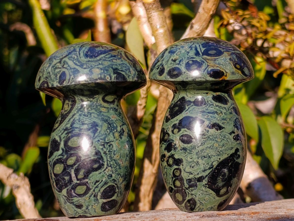 Polished Stromatolite "Kambaba Jasper" Mushrooms x 6 From Katsepy, Madagascar - Toprock Gemstones and Minerals 