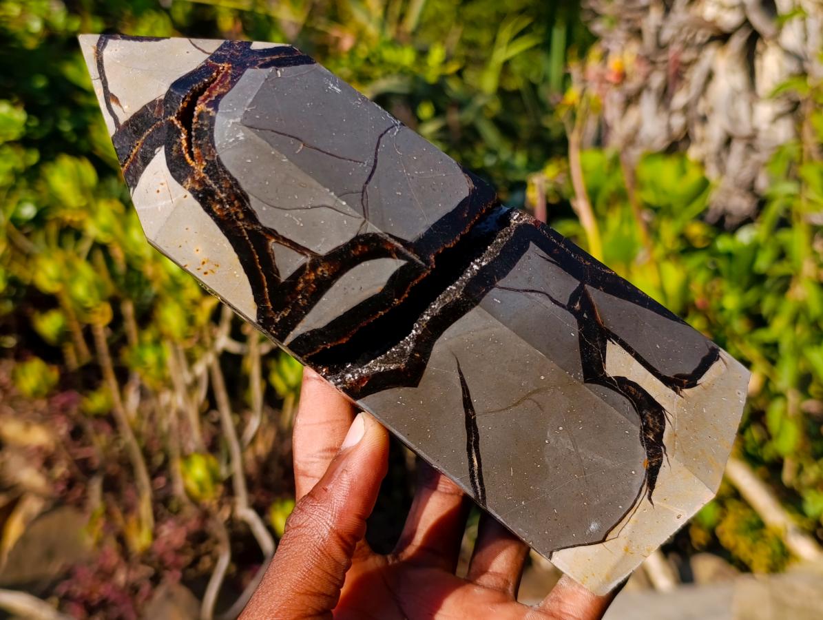 Polished Septerye Sauvage Display Crystals x 2 From Mahajanga, Madagascar - Toprock Gemstones and Minerals 
