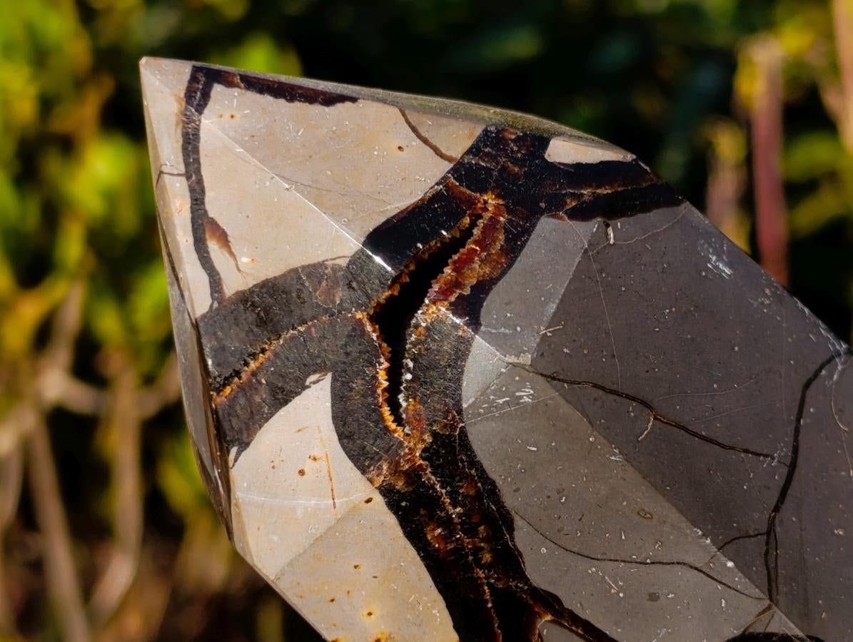 Polished Septerye Sauvage Display Crystals x 2 From Mahajanga, Madagascar - Toprock Gemstones and Minerals 