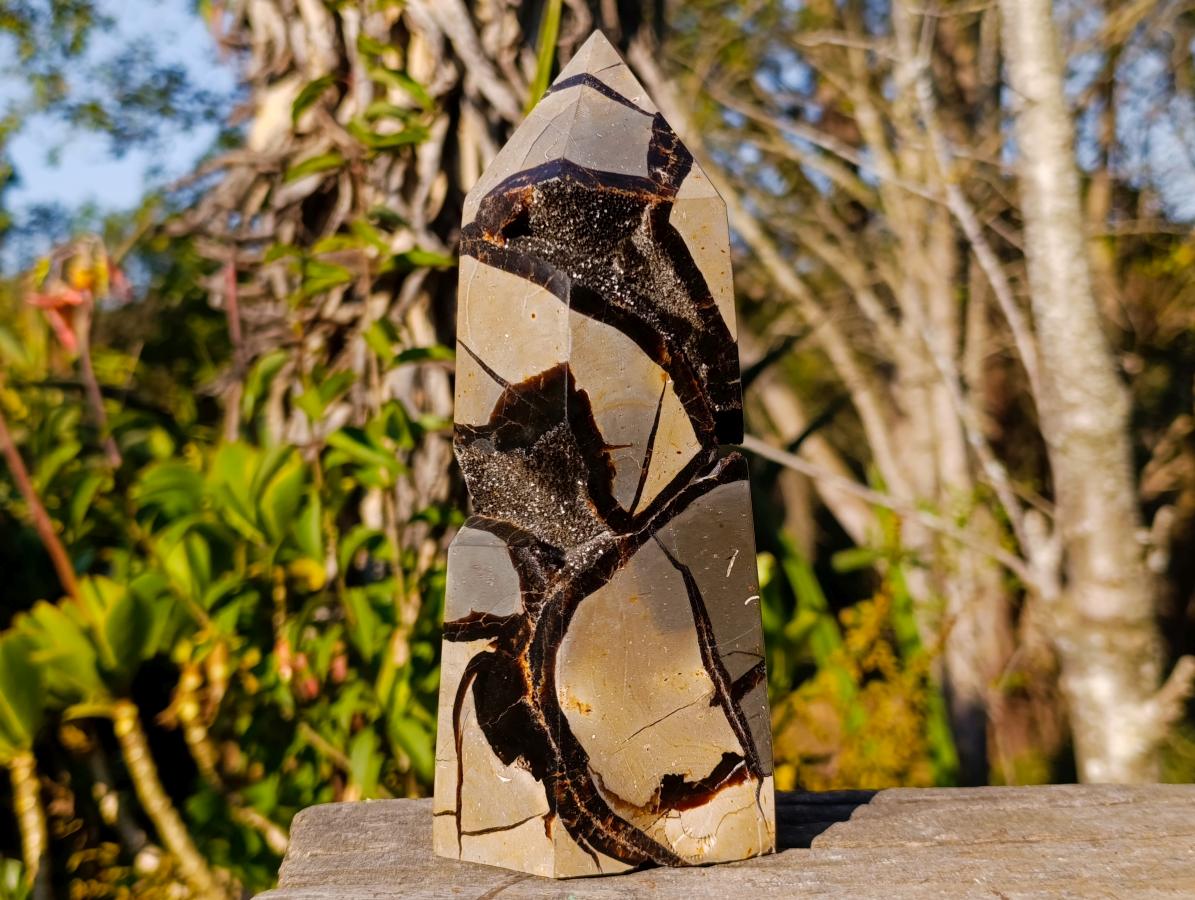 Polished Septerye Sauvage Display Crystals x 2 From Mahajanga, Madagascar - Toprock Gemstones and Minerals 