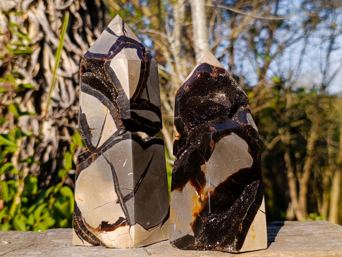 Polished Septerye Sauvage Display Crystals x 2 From Mahajanga, Madagascar - Toprock Gemstones and Minerals 
