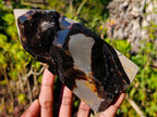 Polished Septerye Sauvage Display Crystals x 2 From Mahajanga, Madagascar - Toprock Gemstones and Minerals 