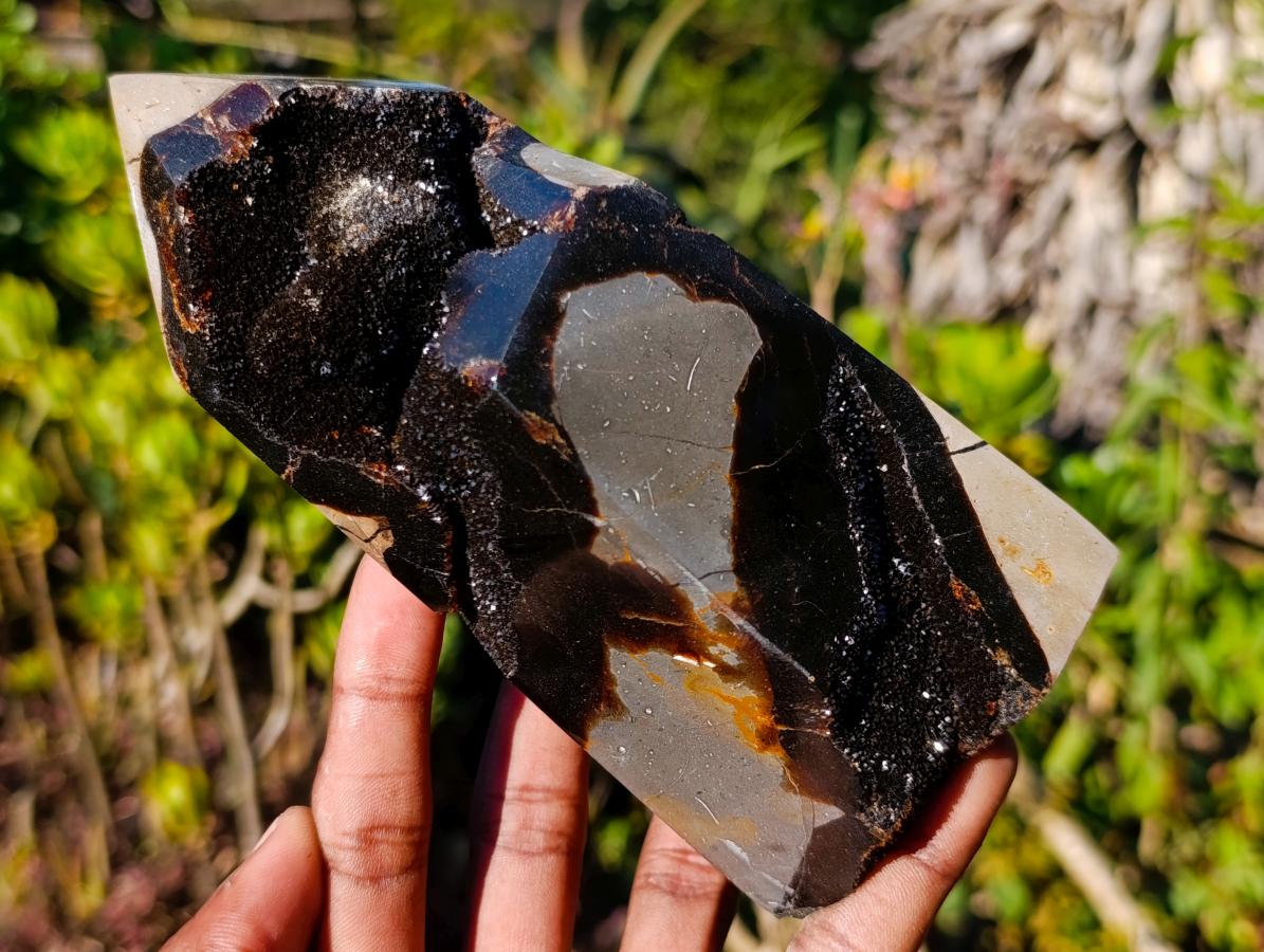 Polished Septerye Sauvage Display Crystals x 2 From Mahajanga, Madagascar - Toprock Gemstones and Minerals 