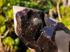Polished Septerye Sauvage Display Crystals x 2 From Mahajanga, Madagascar - Toprock Gemstones and Minerals 