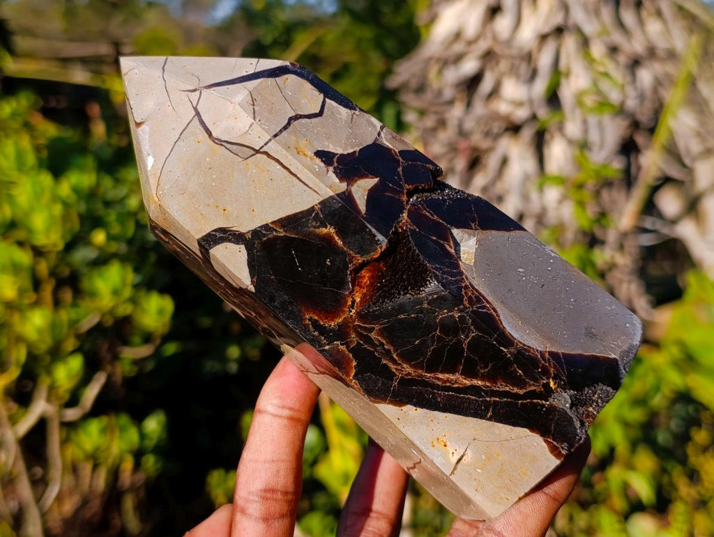 Polished Septerye Sauvage Display Crystals x 2 From Mahajanga, Madagascar - Toprock Gemstones and Minerals 
