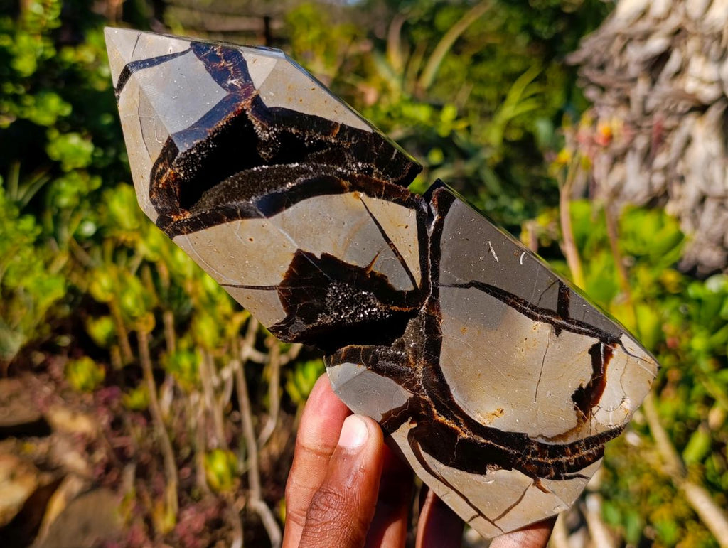 Polished Septerye Sauvage Display Crystals x 2 From Mahajanga, Madagascar - Toprock Gemstones and Minerals 