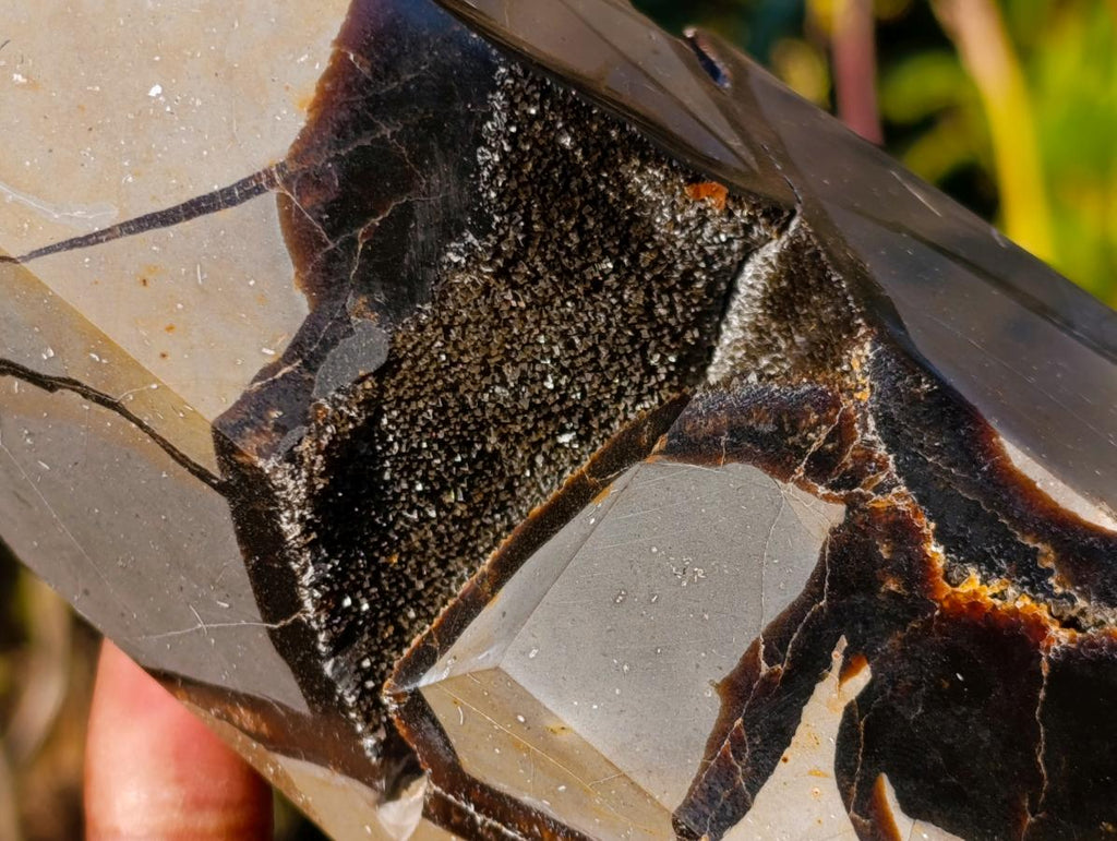 Polished Septerye Sauvage Display Crystals x 2 From Mahajanga, Madagascar - Toprock Gemstones and Minerals 