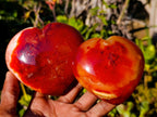 Polished Carnelian Agate Gemstone Hearts x 4 From Madagascar - Toprock Gemstones and Minerals 