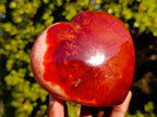 Polished Carnelian Agate Gemstone Hearts x 4 From Madagascar - Toprock Gemstones and Minerals 