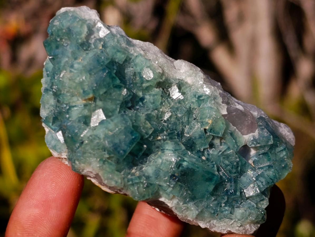 Natural Green Cubic Fluorite Specimens x 6 From Mandrosonoro, Madagascar - Toprock Gemstones and Minerals 