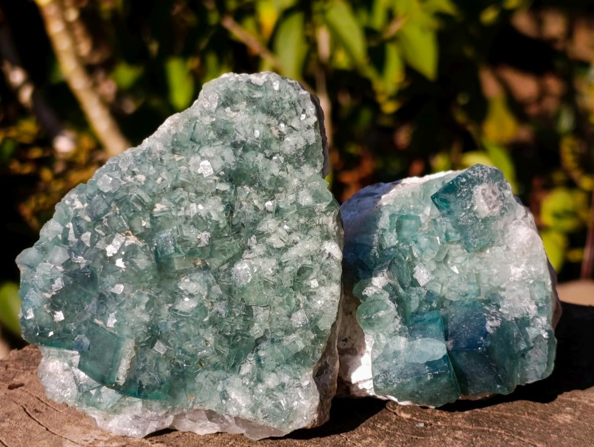 Natural Green Cubic Fluorite Specimens x 6 From Mandrosonoro, Madagascar - Toprock Gemstones and Minerals 