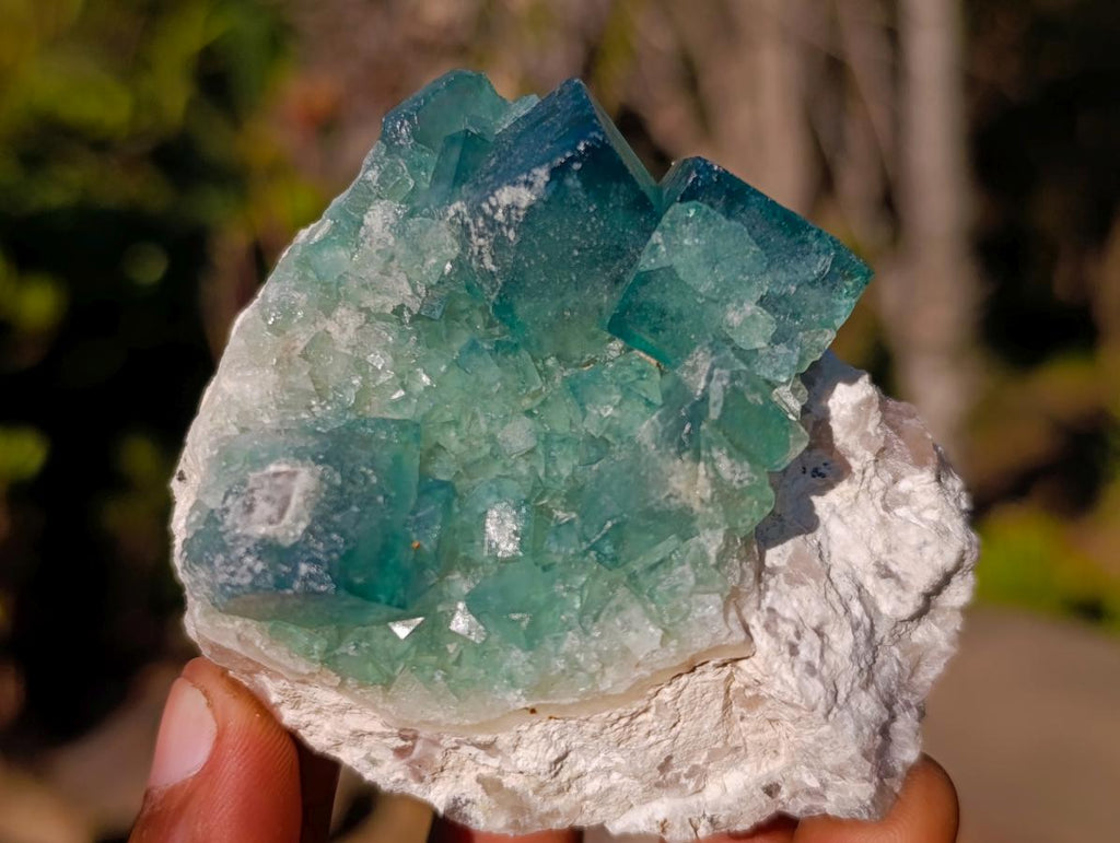 Natural Green Cubic Fluorite Specimens x 6 From Mandrosonoro, Madagascar - Toprock Gemstones and Minerals 